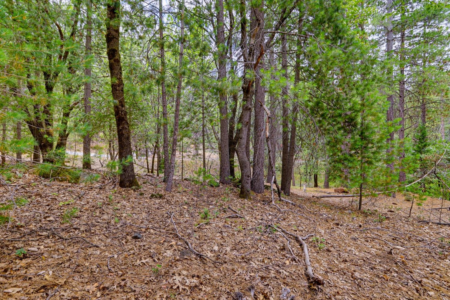 16020 Brooks Road Grass Valley, CA 95945 - Photo 12 of 12