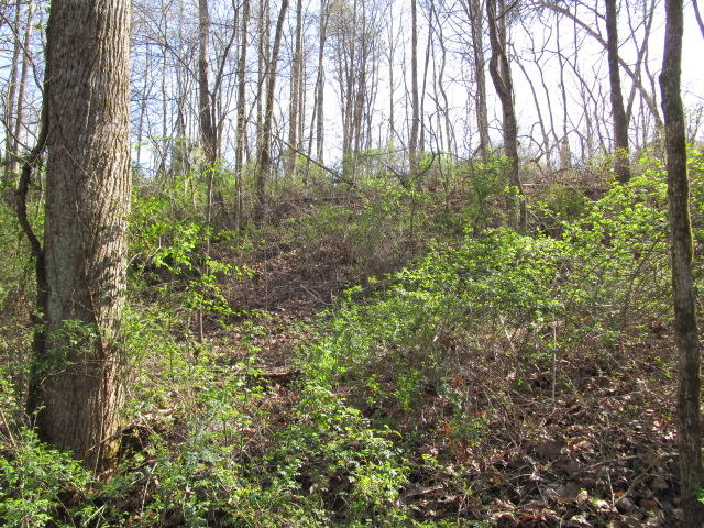7015 Rutledge Pike Rutledge, TN 37861 - Photo 13 of 13 IMG_0095.JPG
