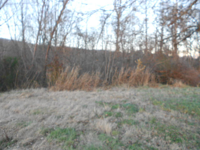 7015 Rutledge Pike Rutledge, TN 37861 - Photo 8 of 13 DSCN3133