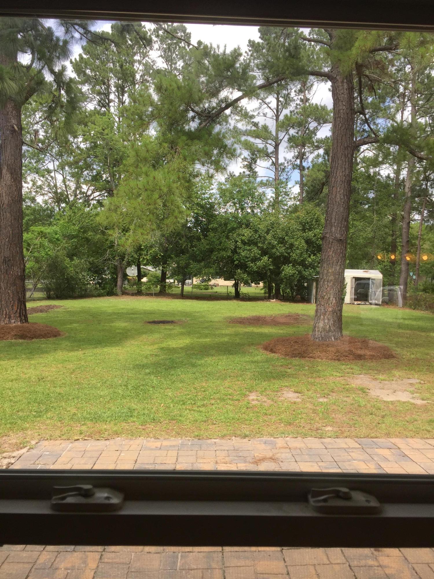 114 State Rd S-8-923 Moncks Corner, SC 29461 - Photo 12 of 17 IMG_1382