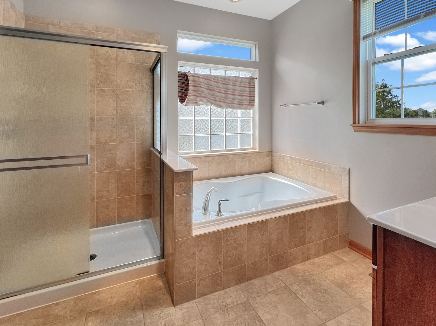 3607 Greystone Avenue Naperville, IL 60564 - Photo 11 of 18