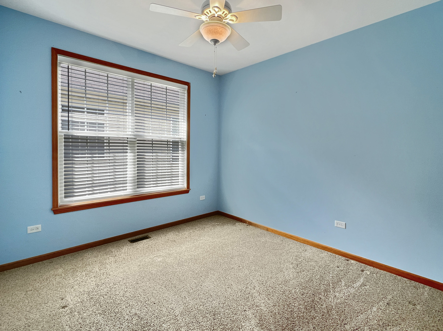 3607 Greystone Avenue Naperville, IL 60564 - Photo 15 of 18