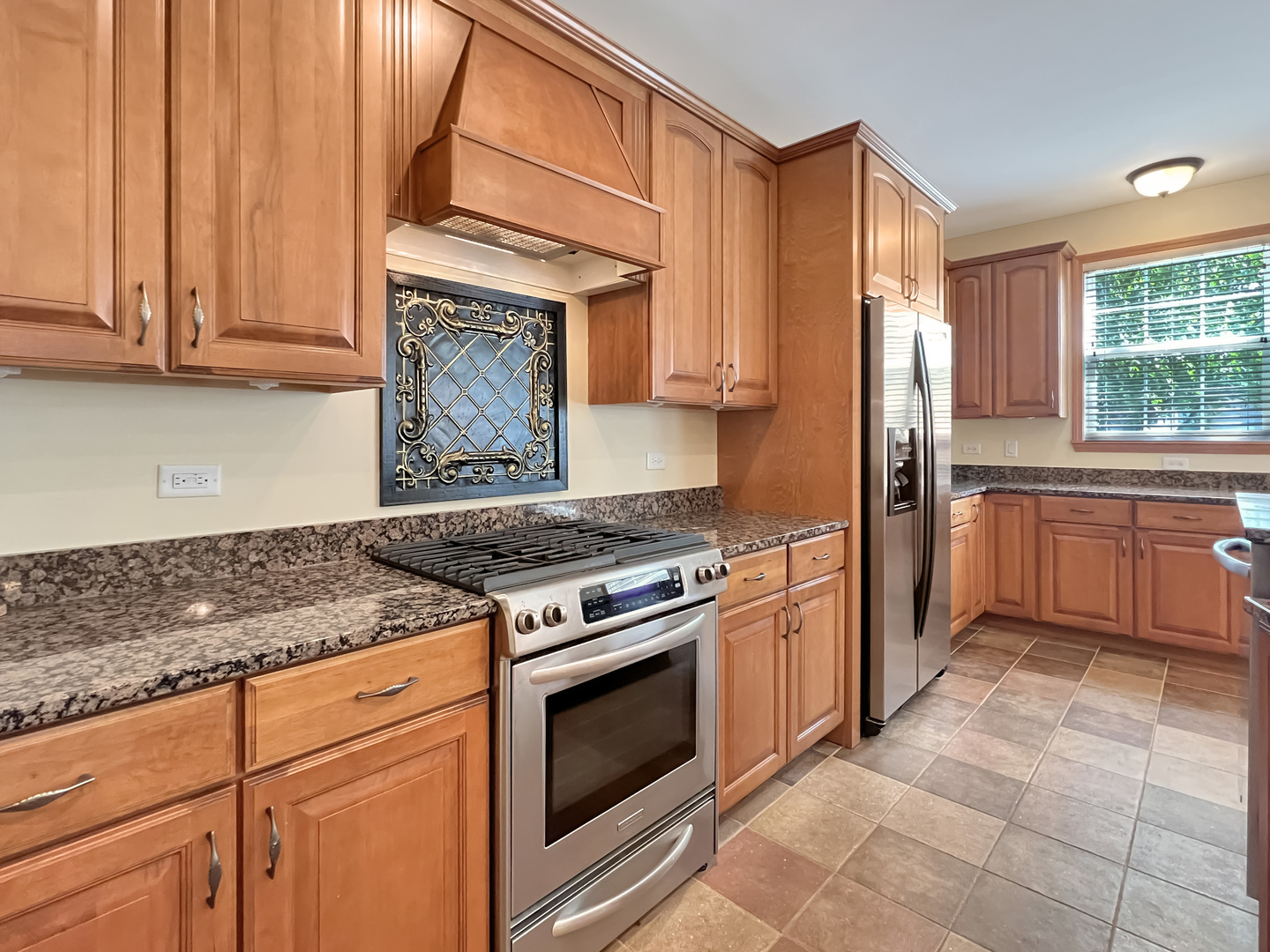 3607 Greystone Avenue Naperville, IL 60564 - Photo 3 of 18