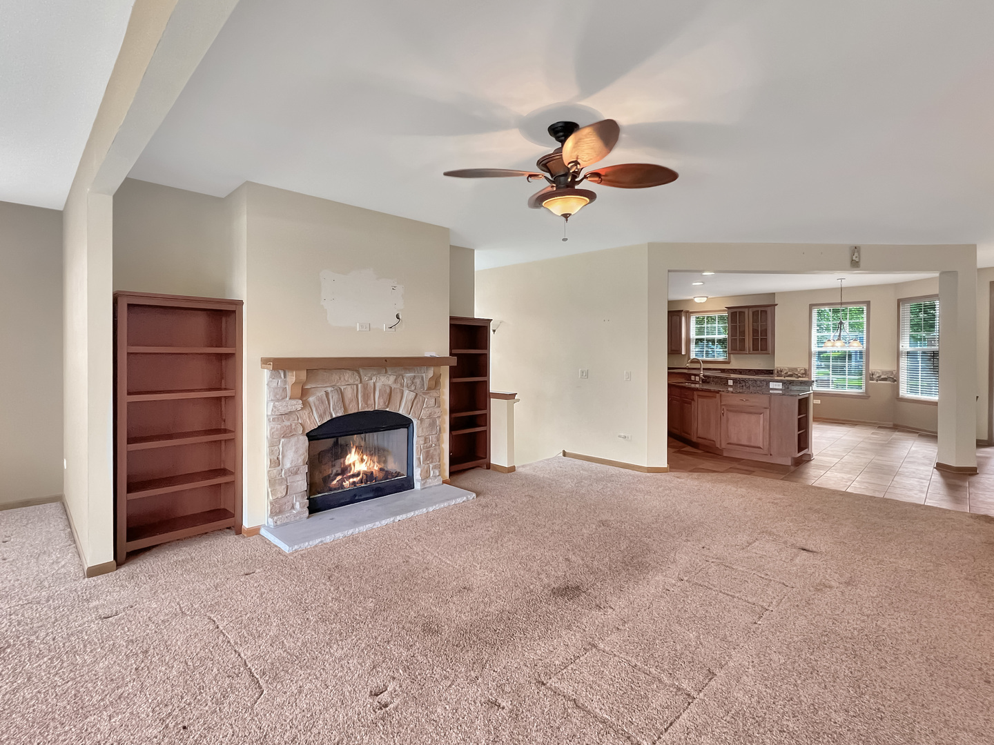 3607 Greystone Avenue Naperville, IL 60564 - Photo 5 of 18