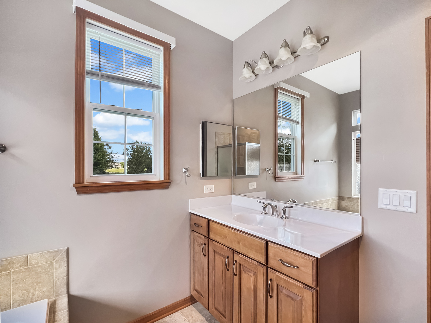 3607 Greystone Avenue Naperville, IL 60564 - Photo 10 of 18