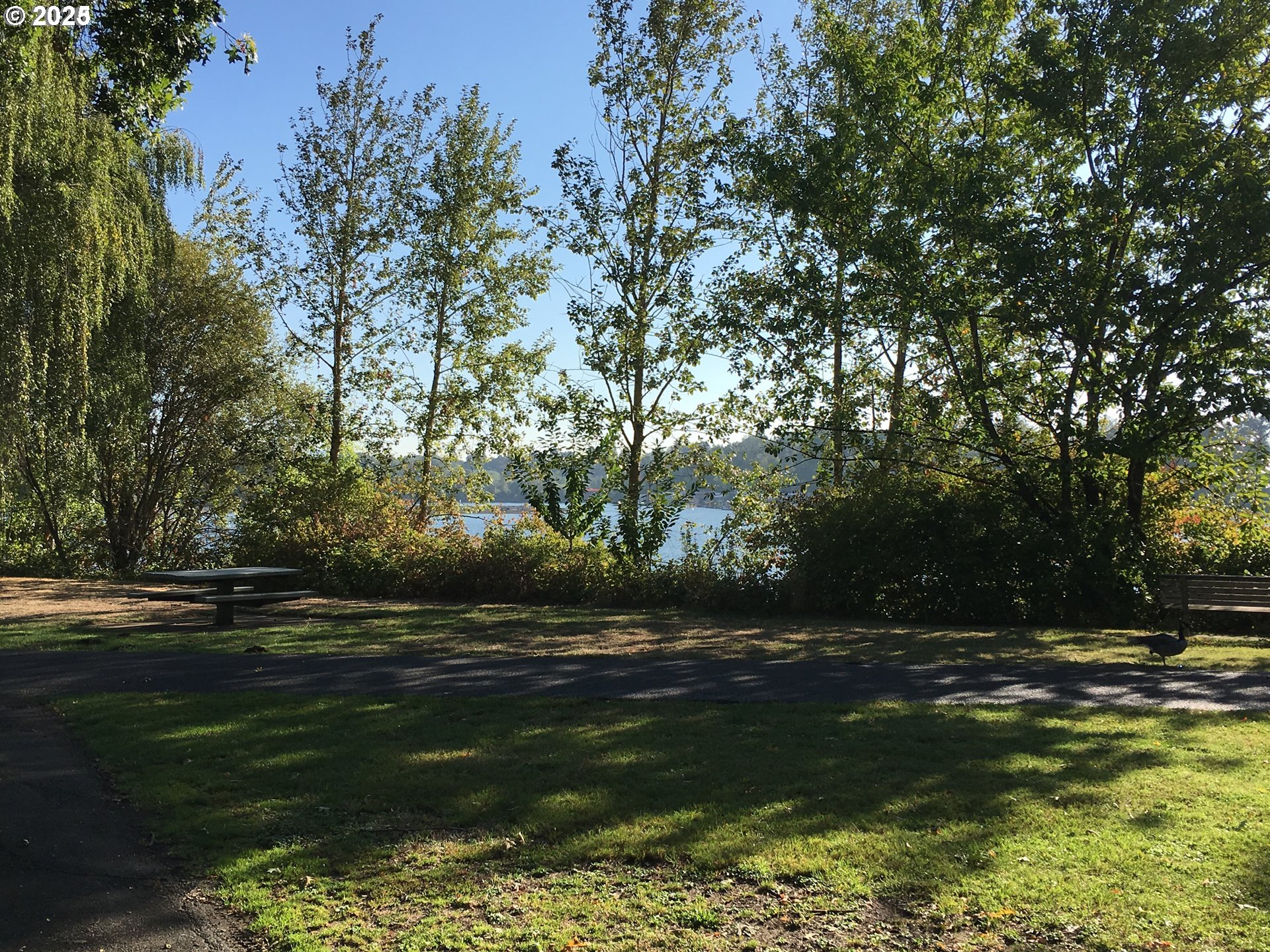 Southwest View Point Terrace Portland, OR 97239 - Photo 11 of 14 a view of outdoor space and yard