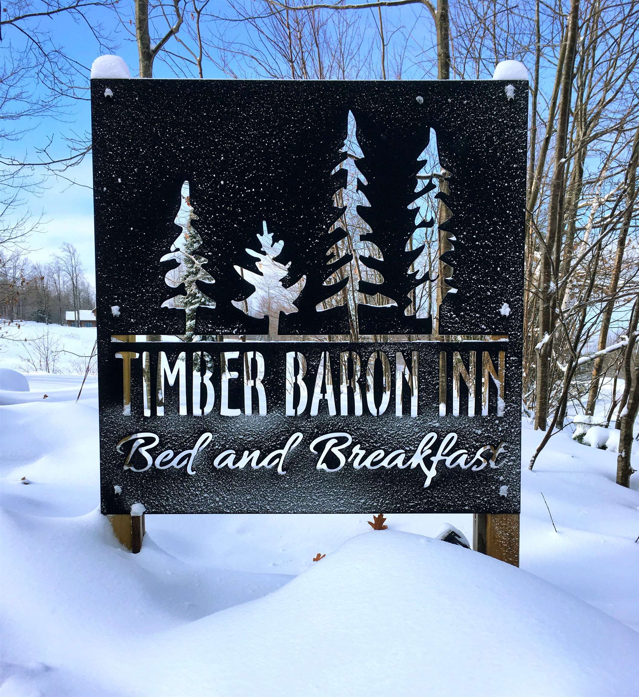 83375 Ashwabay Heights Road Bayfield, WI 54814 - Photo 45 of 57