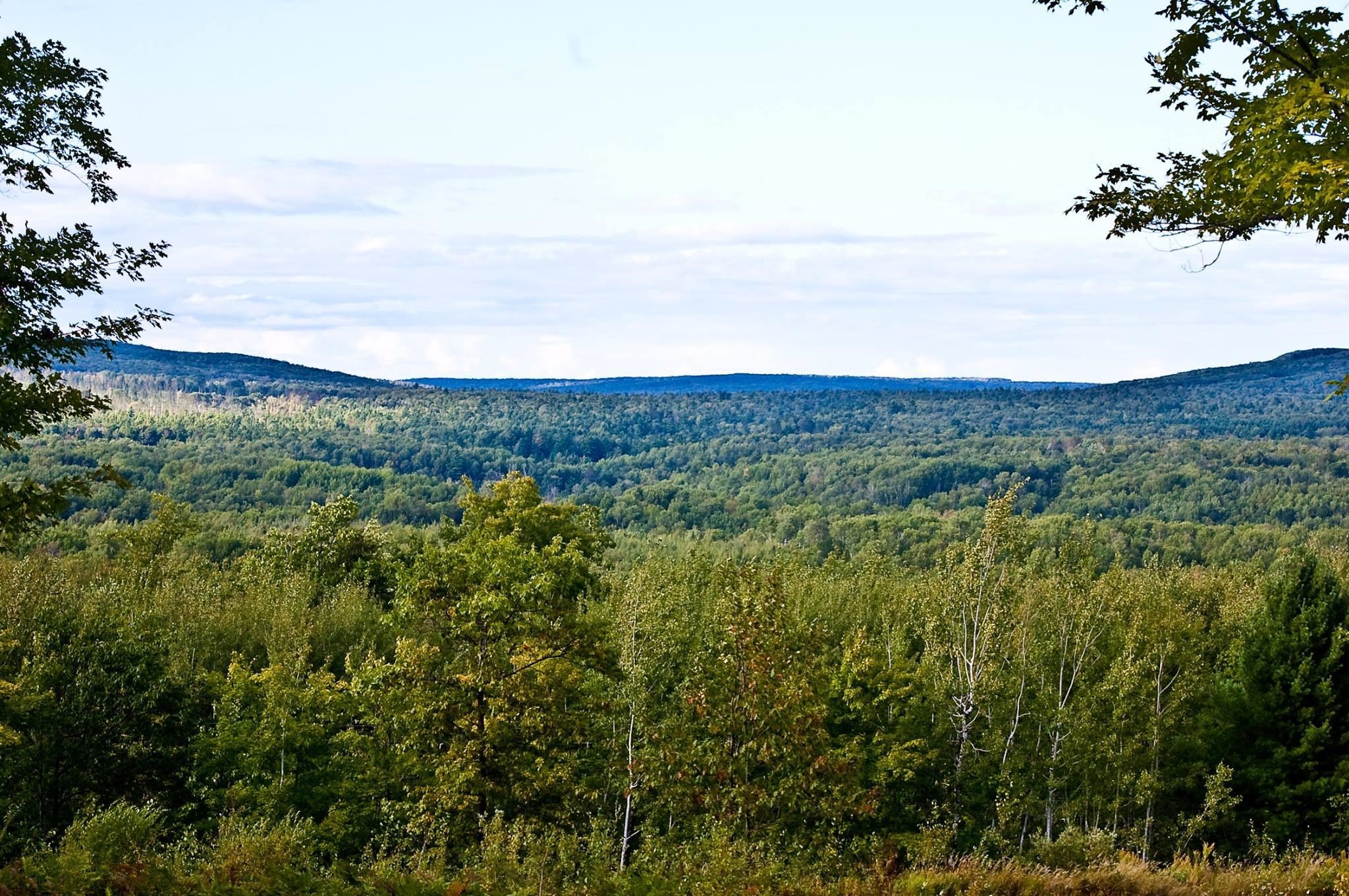 83375 Ashwabay Heights Road Bayfield, WI 54814 - Photo 51 of 57