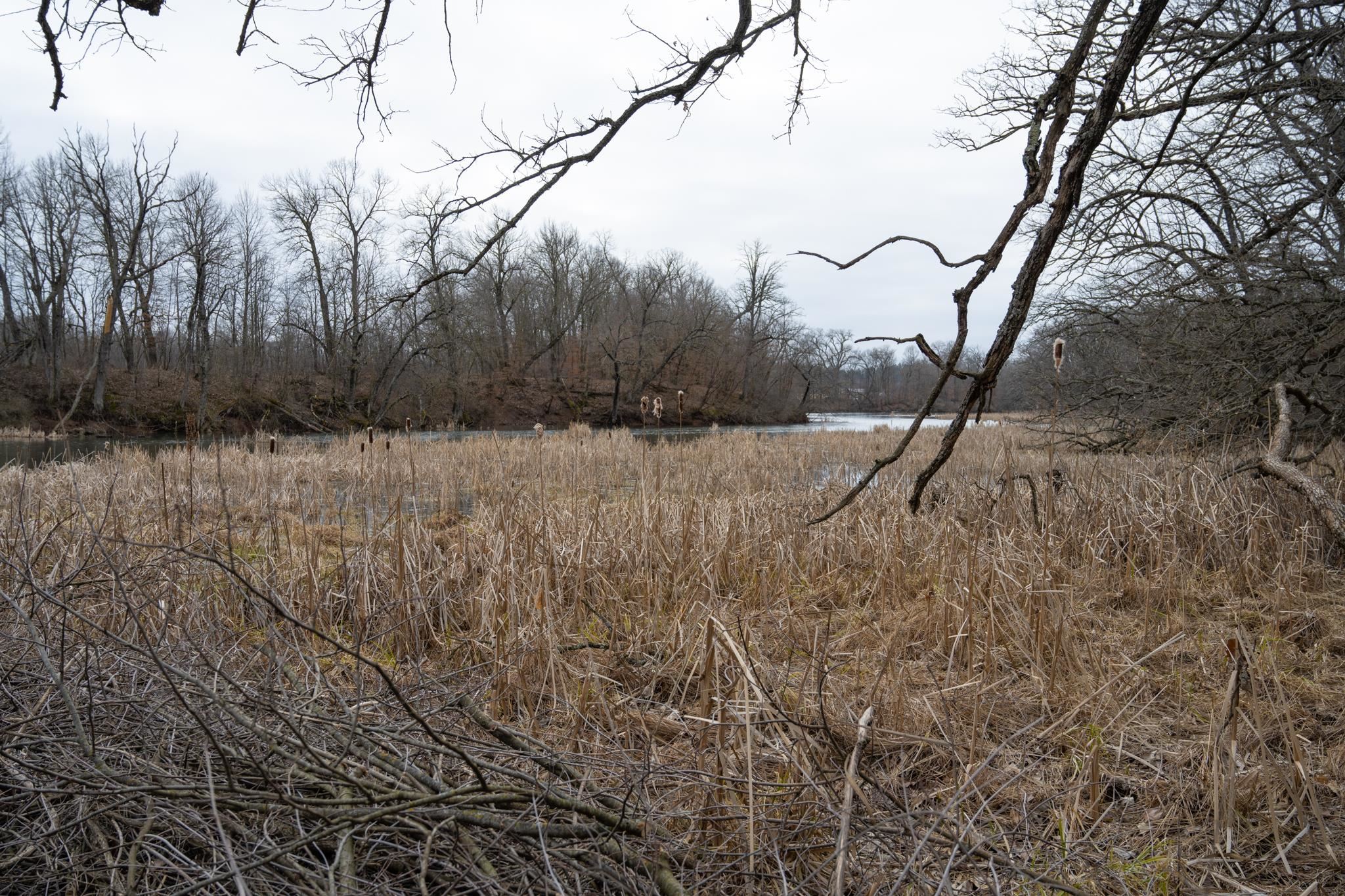 Lot 9 Ember Adams, WI 53910 - Photo 11 of 26