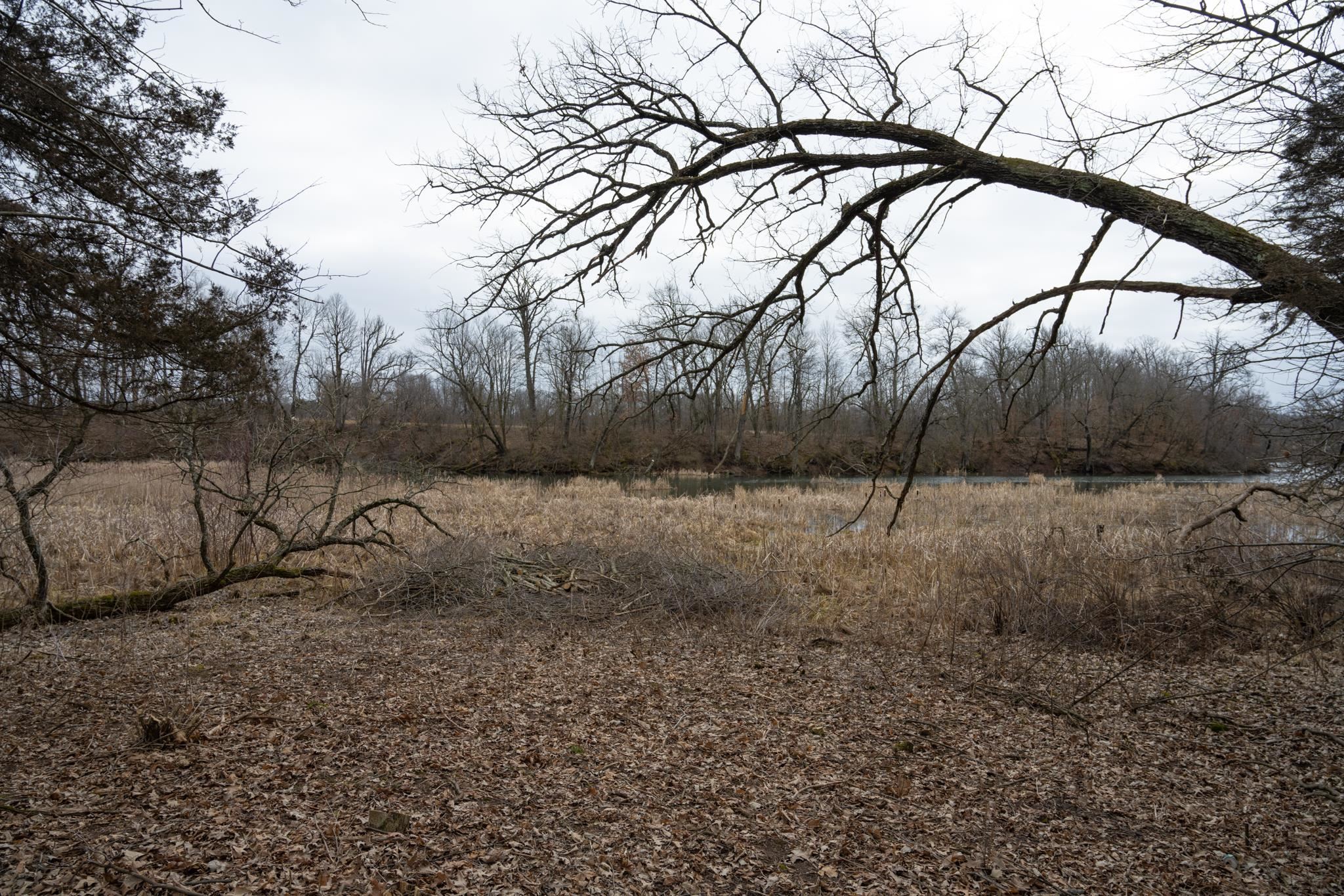 Lot 9 Ember Adams, WI 53910 - Photo 14 of 26