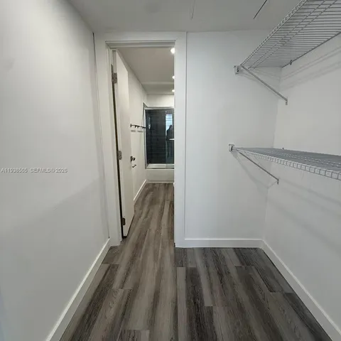 a view of a lake with a palm trees