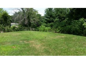 134 Union Church Road Jonesborough, TN 37659 - Photo 3 of 9 Back Yard