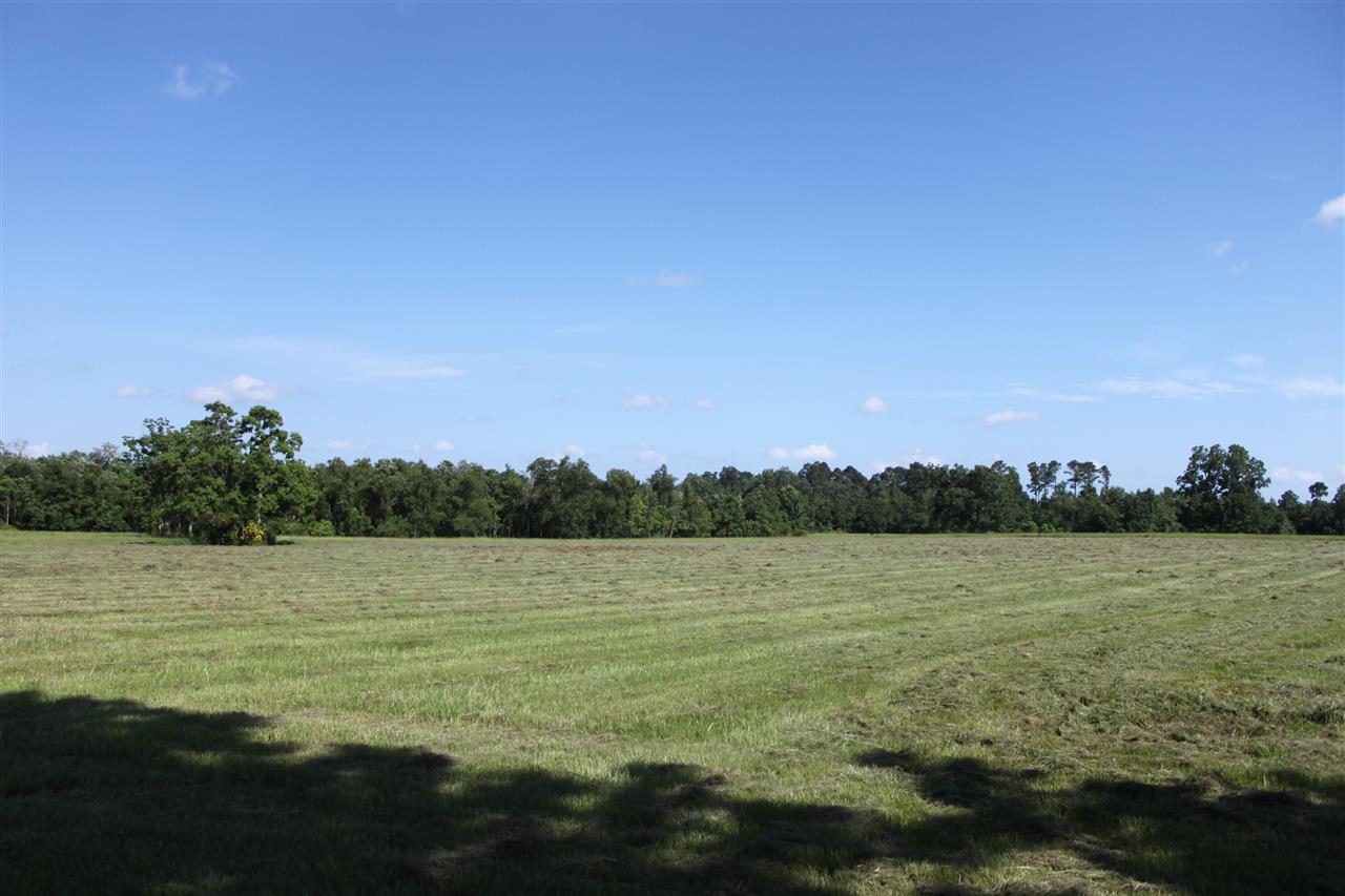 62 South Robertsdal Al Robertsdale, AL 36567 - Photo 4 of 6