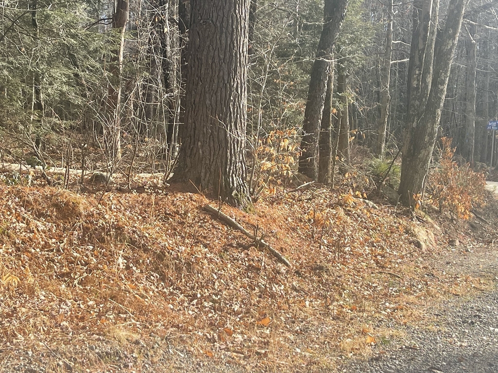 Lot 27 Hartland Road Tolland, MA 01034 - Photo 1 of 4