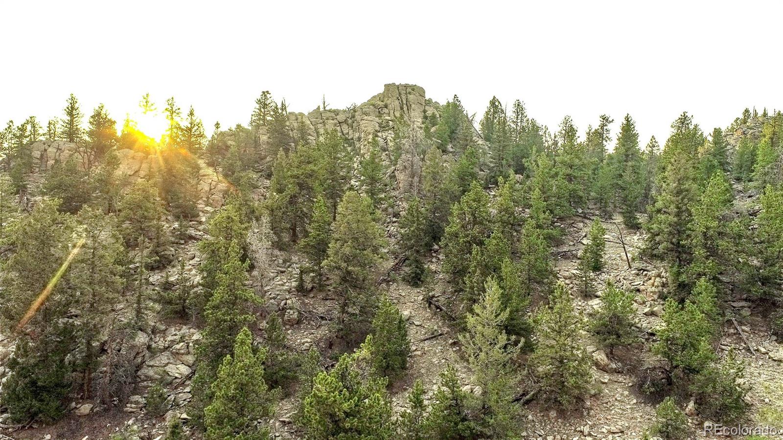 218 North Quarter Horse Road Como, CO 80456 - Photo 7 of 34