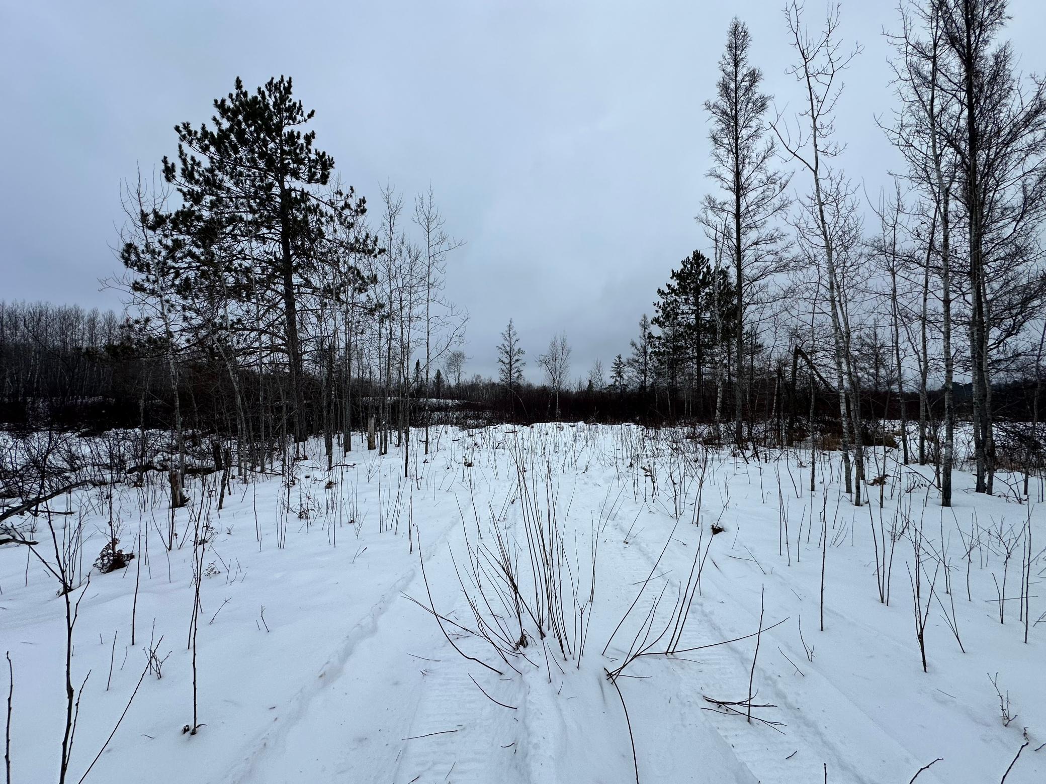Tbd #1 Koecher Road Kerrick, MN 55756 - Photo 11 of 15