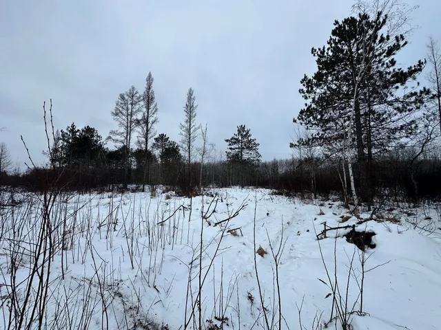 $80,000 | Tbd #1 Koecher Road, Kerrick, MN 55756