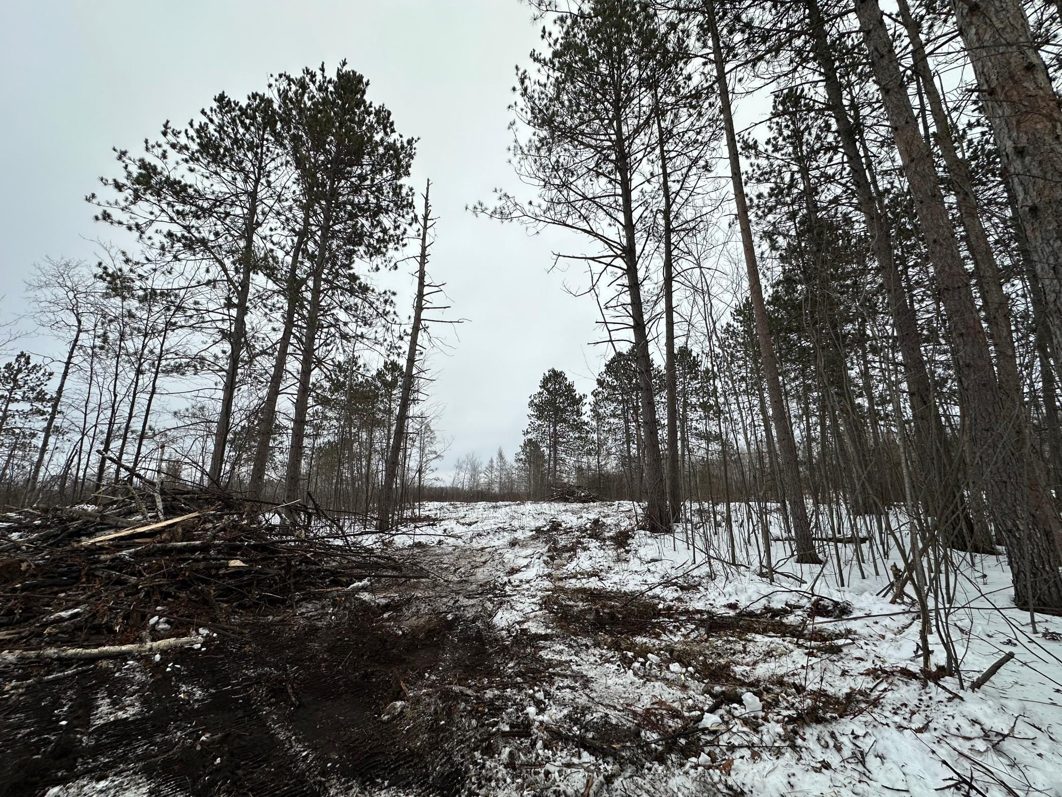 Tbd #1 Koecher Road Kerrick, MN 55756 - Photo 13 of 15