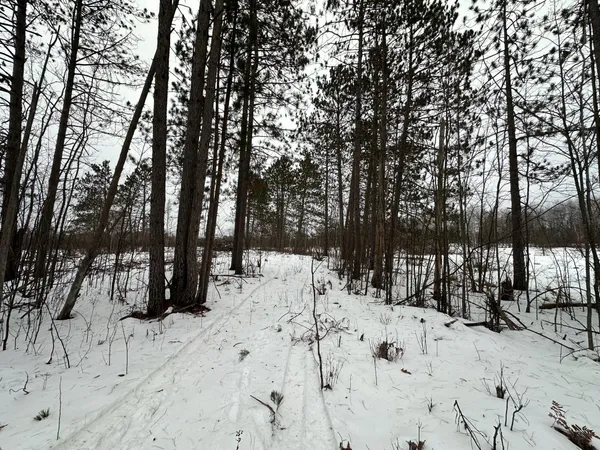 $80,000 | Tbd #1 Koecher Road, Kerrick, MN 55756