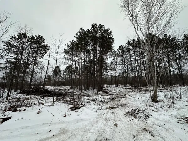 $80,000 | Tbd #1 Koecher Road, Kerrick, MN 55756