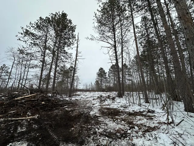 $80,000 | Tbd #1 Koecher Road, Kerrick, MN 55756