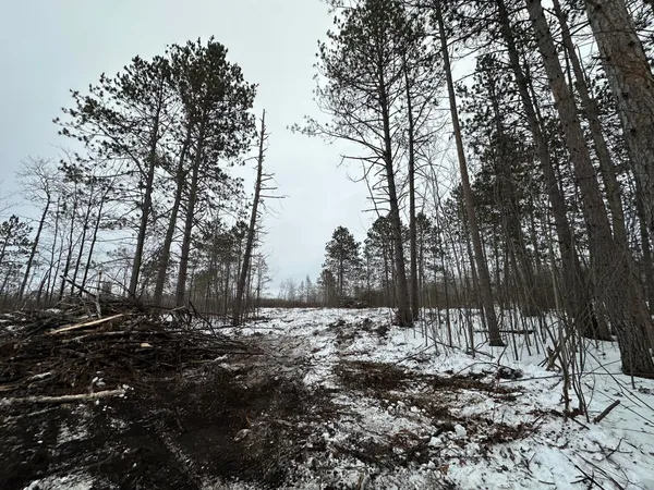 $80,000 | Tbd #1 Koecher Road, Kerrick, MN 55756