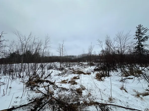$80,000 | Tbd #1 Koecher Road, Kerrick, MN 55756