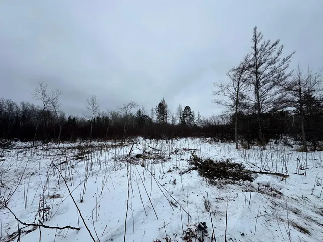 $80,000 | Tbd #1 Koecher Road, Kerrick, MN 55756