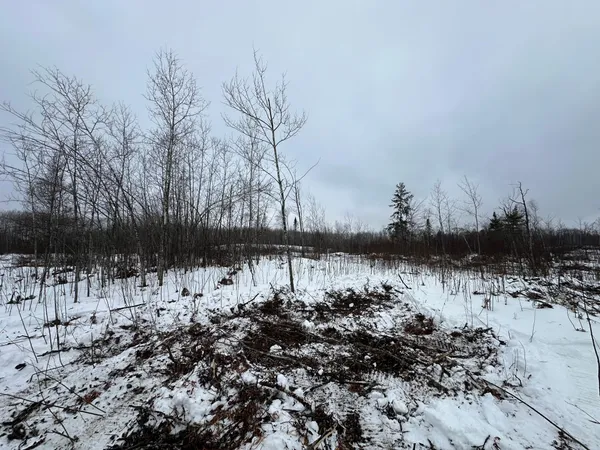 $80,000 | Tbd #1 Koecher Road, Kerrick, MN 55756