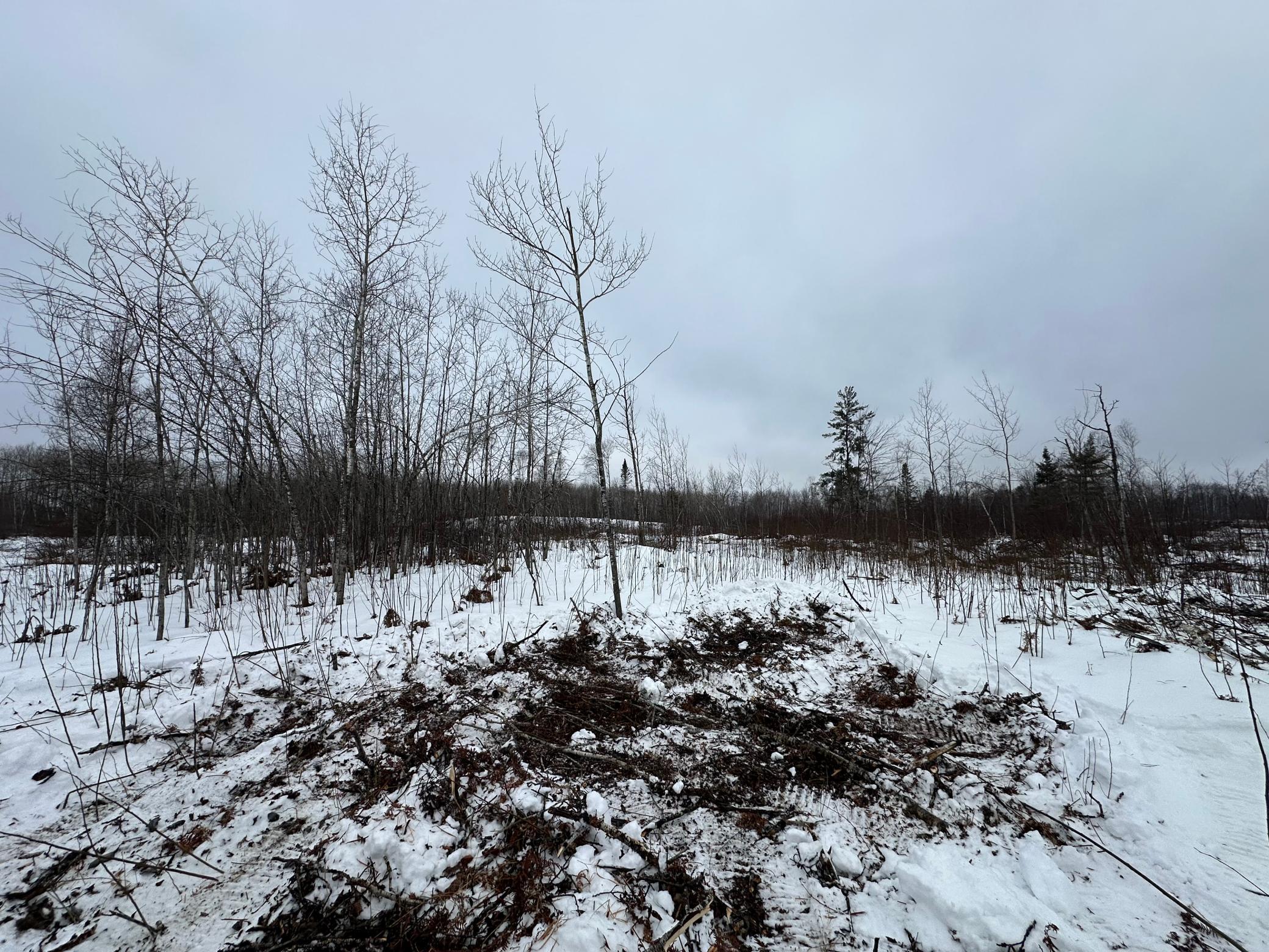 Tbd #1 Koecher Road Kerrick, MN 55756 - Photo 8 of 15