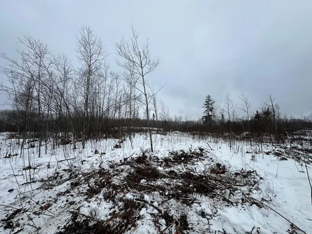 $80,000 | Tbd #1 Koecher Road, Kerrick, MN 55756