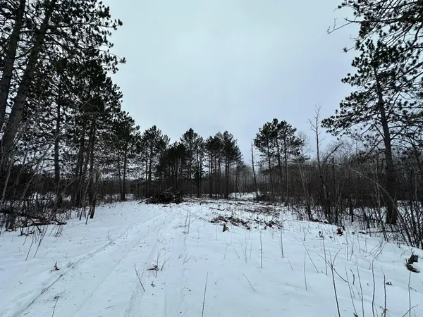 $80,000 | Tbd #1 Koecher Road, Kerrick, MN 55756