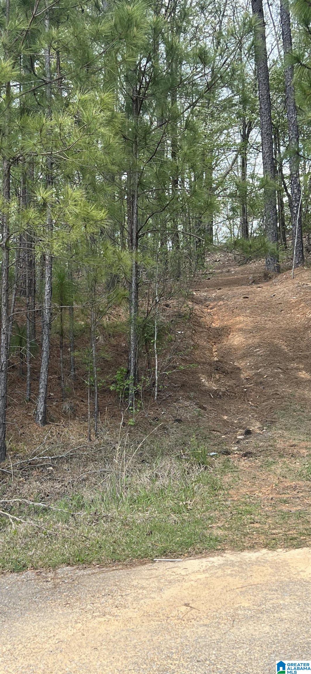 161 Shetland Trail, Unit 203 Alabaster, AL 35007 - Photo 3 of 4