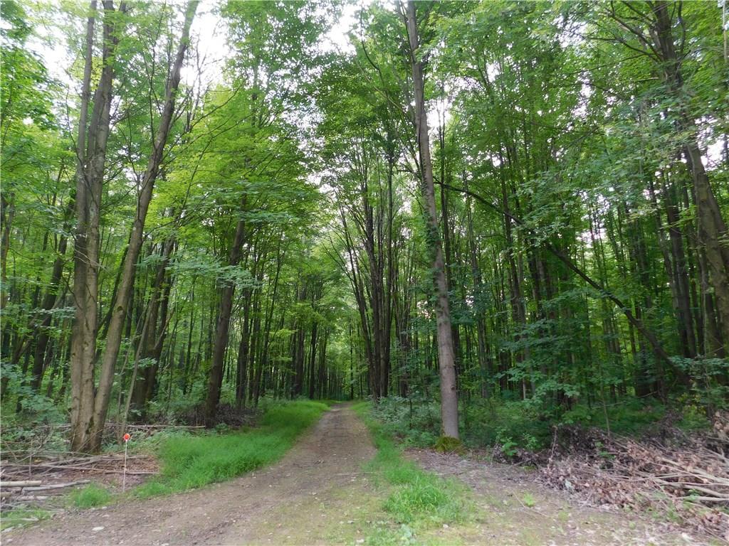 7191 Patton Road Hartstown, PA 16131 - Photo 11 of 25 TRAILS IN THE WOODS/ MATURE TREES