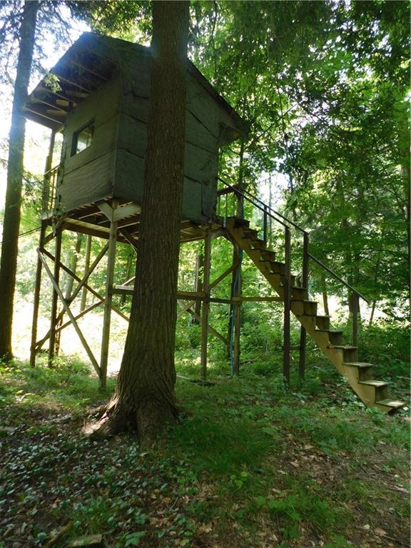 7191 Patton Road Hartstown, PA 16131 - Photo 12 of 25 TREE STAND