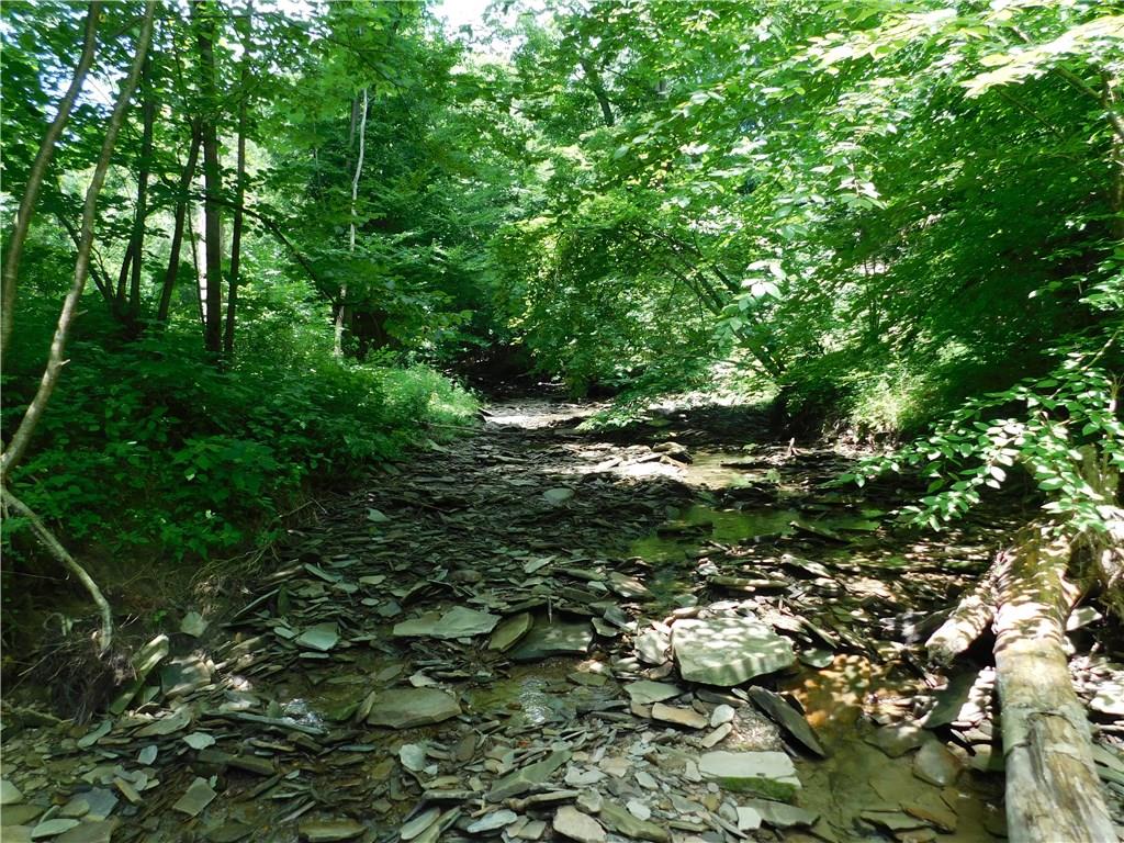 7191 Patton Road Hartstown, PA 16131 - Photo 7 of 25 CREEK