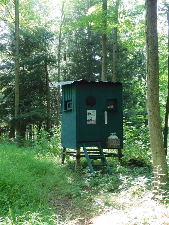7191 Patton Road Hartstown, PA 16131 - Photo 8 of 25 TREE STAND