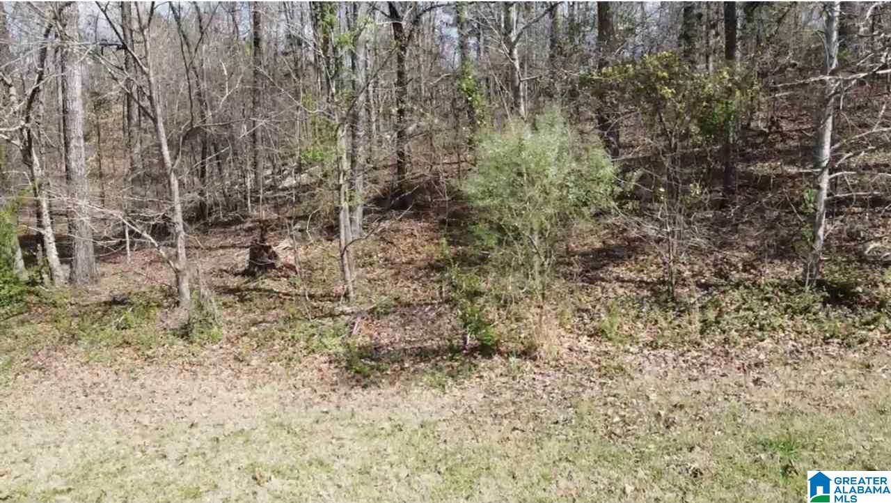 8454 Shoreside Lane, Unit LOT Helena, AL 35022 - Photo 4 of 4