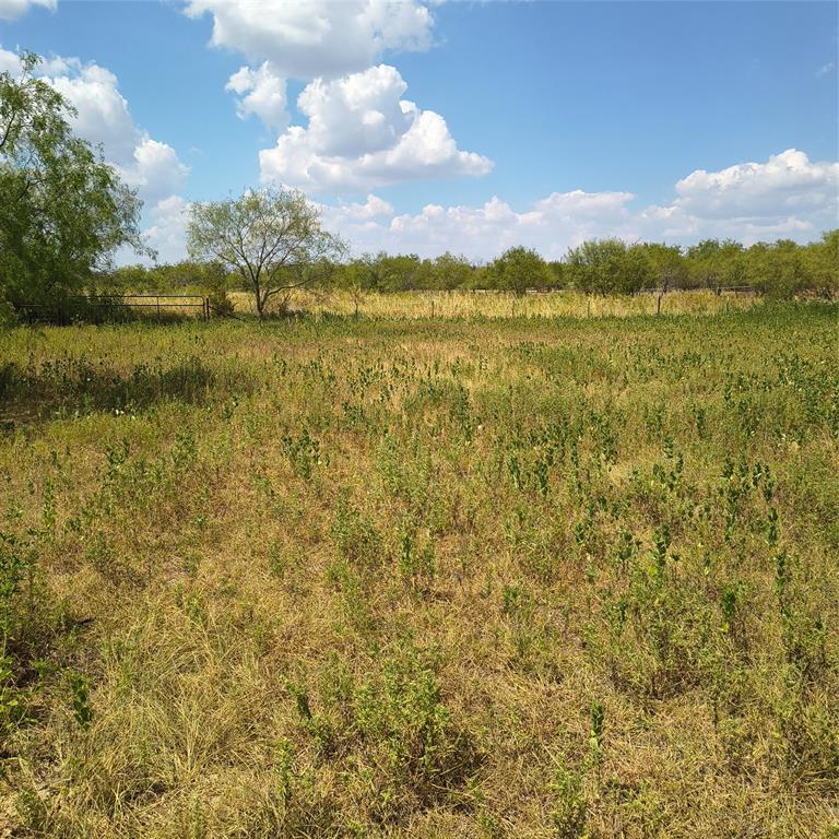 3601 Bluhm Road West, TX 76691 - Photo 5 of 15 Expansive open field with natural vegetation