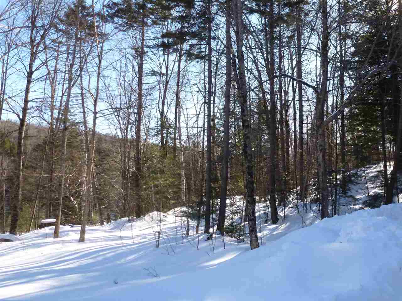 0 Two Two Ponds Road Warren, VT 05674 - Photo 11 of 18 Gallery Image 11