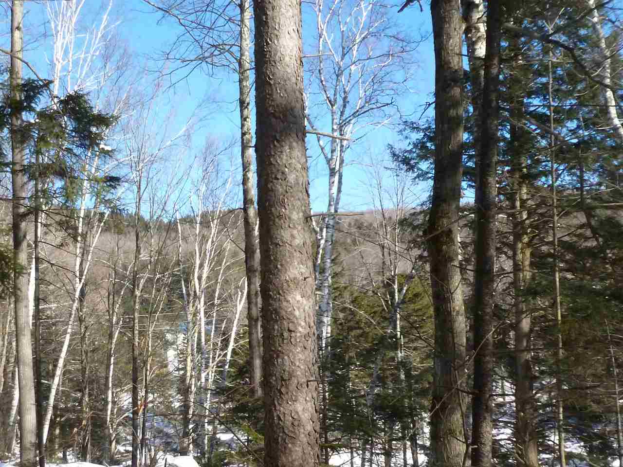 0 Two Two Ponds Road Warren, VT 05674 - Photo 12 of 18 Gallery Image 12