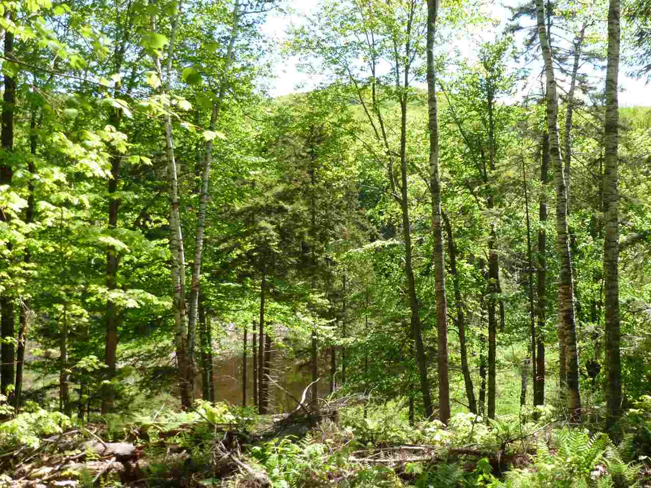 0 Two Two Ponds Road Warren, VT 05674 - Photo 15 of 18 Gallery Image 15