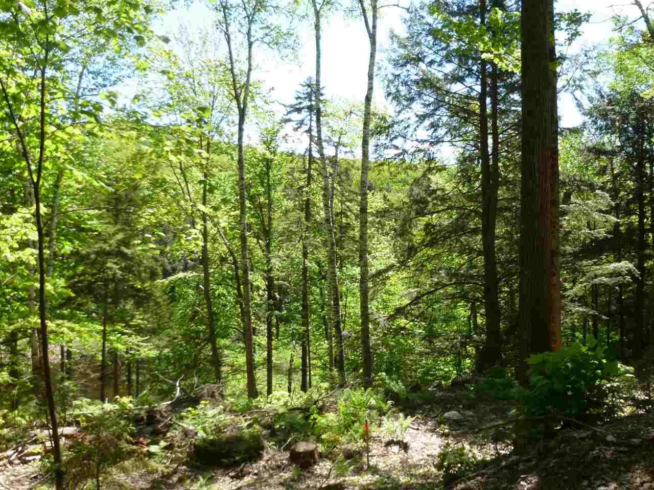 0 Two Two Ponds Road Warren, VT 05674 - Photo 16 of 18 Gallery Image 16