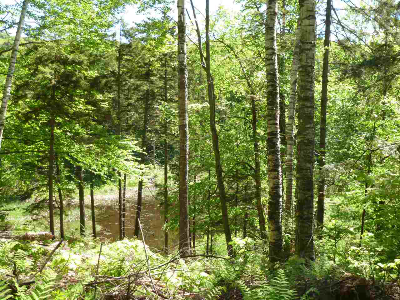 0 Two Two Ponds Road Warren, VT 05674 - Photo 17 of 18 Gallery Image 17