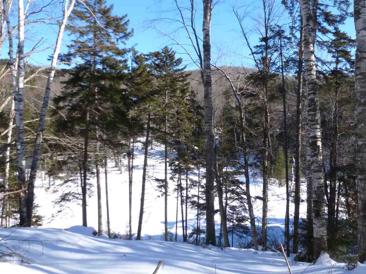 0 Two Two Ponds Road Warren, VT 05674 - Photo 8 of 18 Gallery Image 8