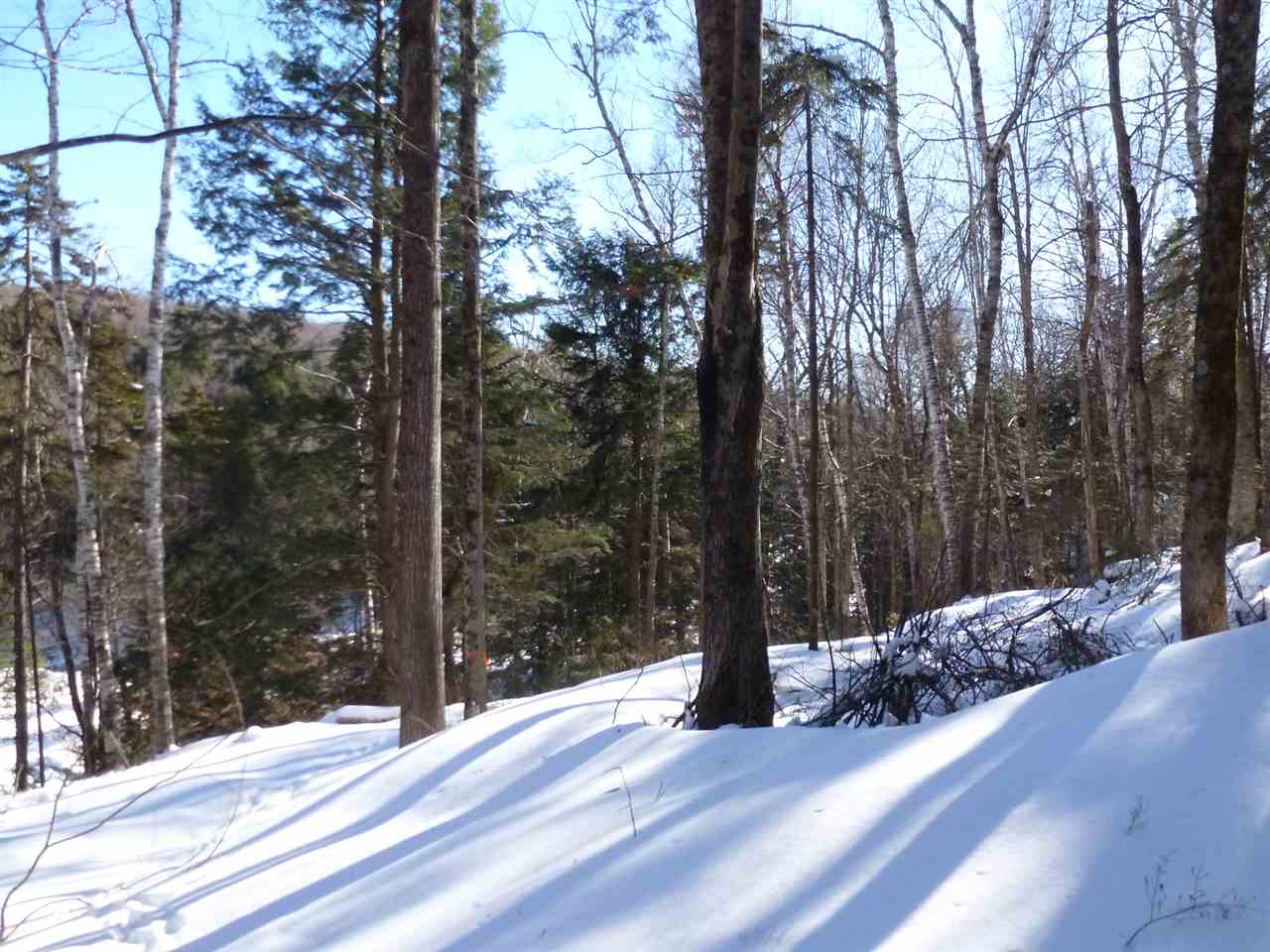 0 Two Two Ponds Road Warren, VT 05674 - Photo 9 of 18 Gallery Image 9
