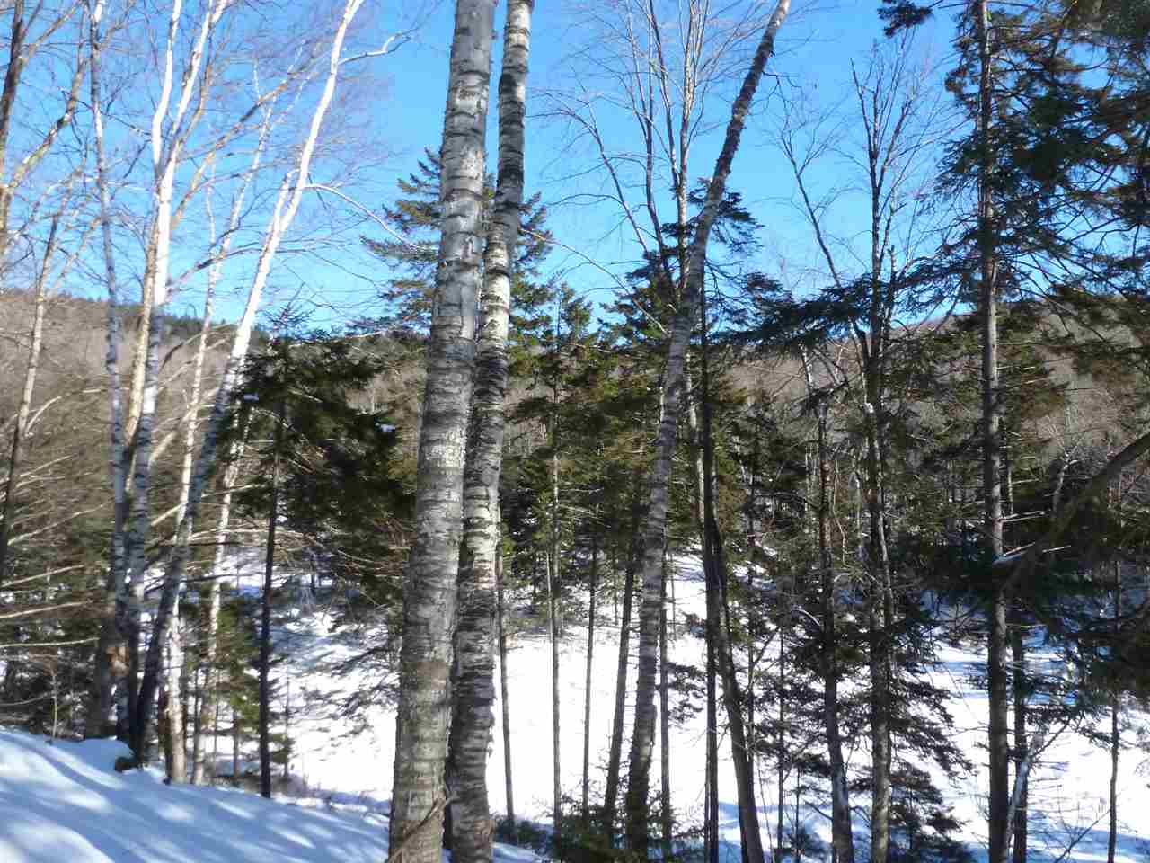 0 Two Two Ponds Road Warren, VT 05674 - Photo 10 of 18 Gallery Image 10