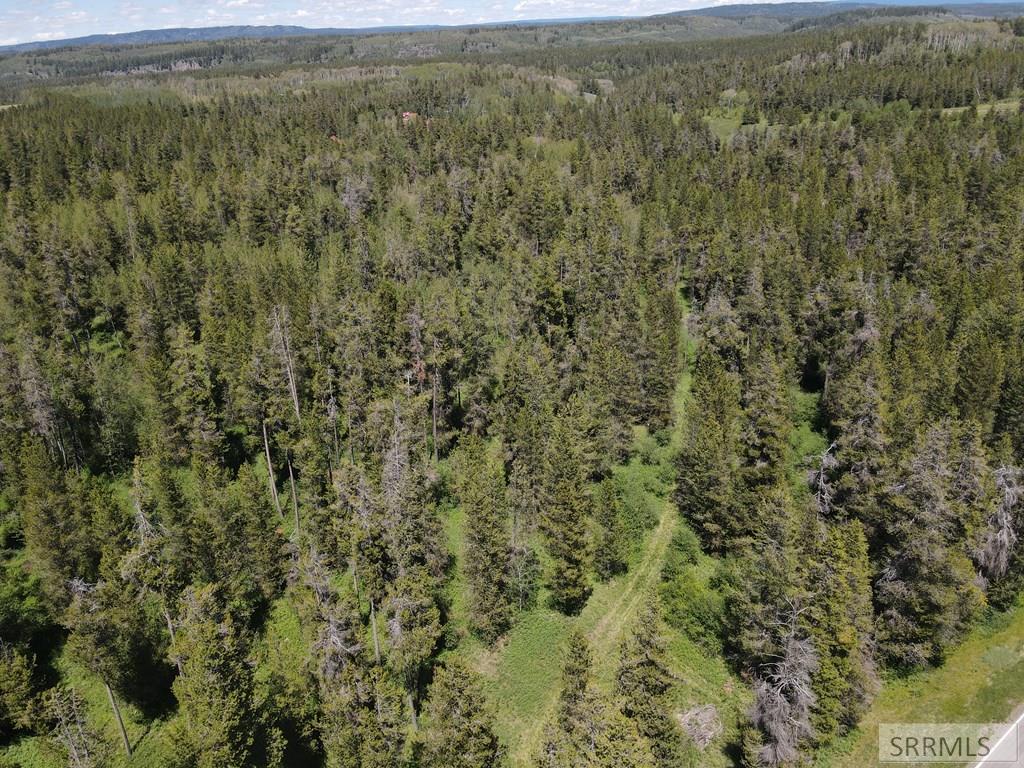 4585 East 1400 Road North Ashton, ID 83420 - Photo 6 of 31