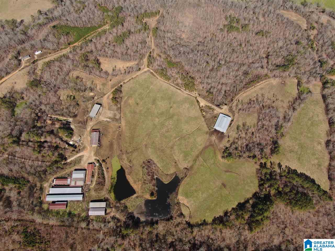 79 Highway 79 Cleveland, AL 35049 - Photo 16 of 36
