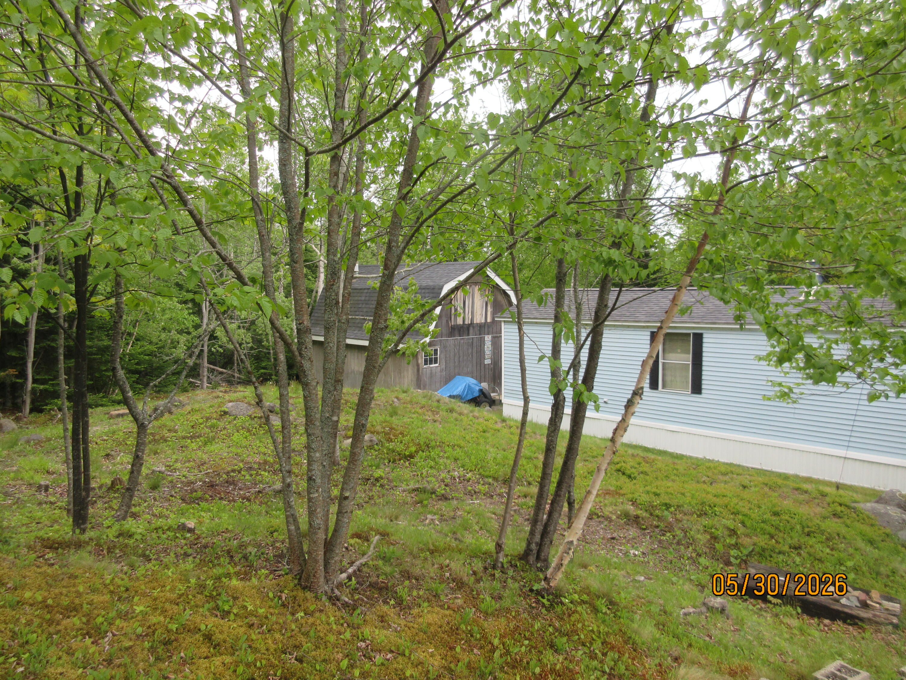 1228 Basin Road Addison, ME 04606 - Photo 6 of 18 Exterior side with shed